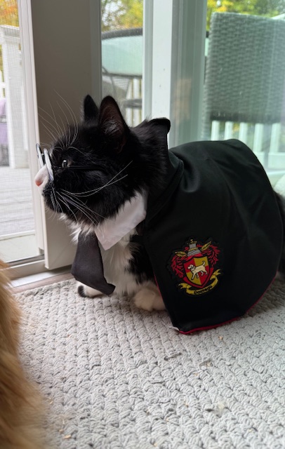 Costume