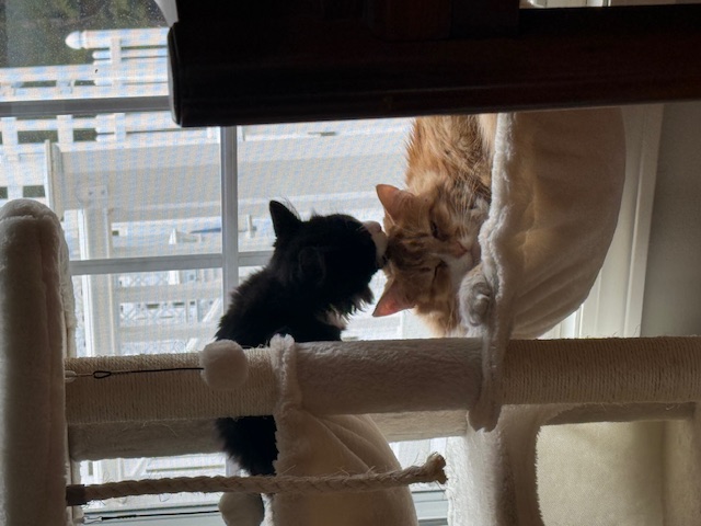 Making Friends