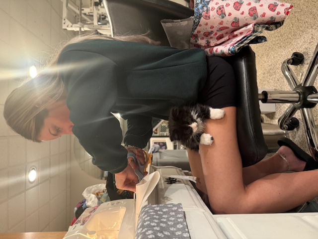 Sewing Assistant